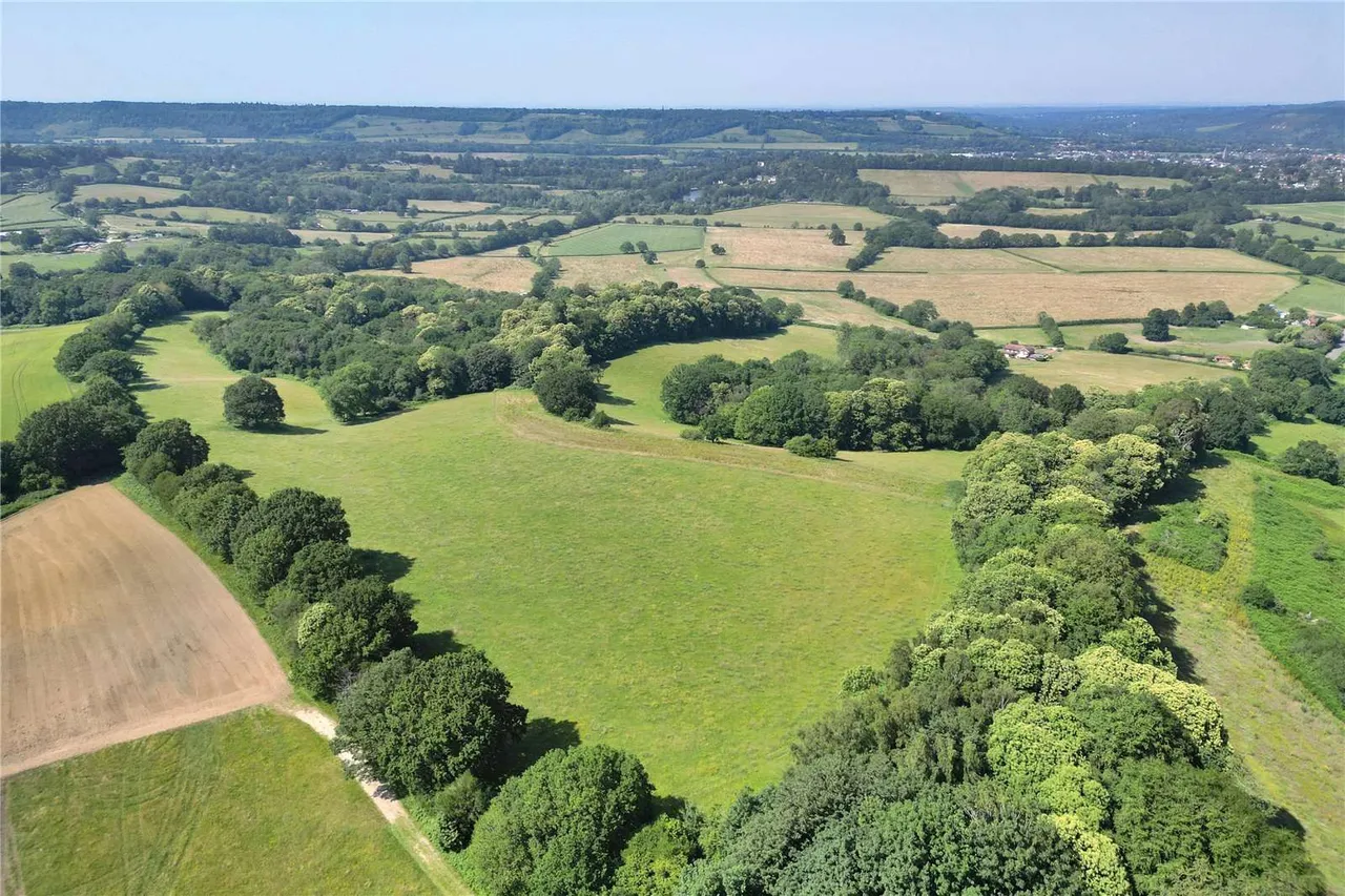 Coldharbour Lane, Dorking, Surrey, RH4 3JH, photo 5
