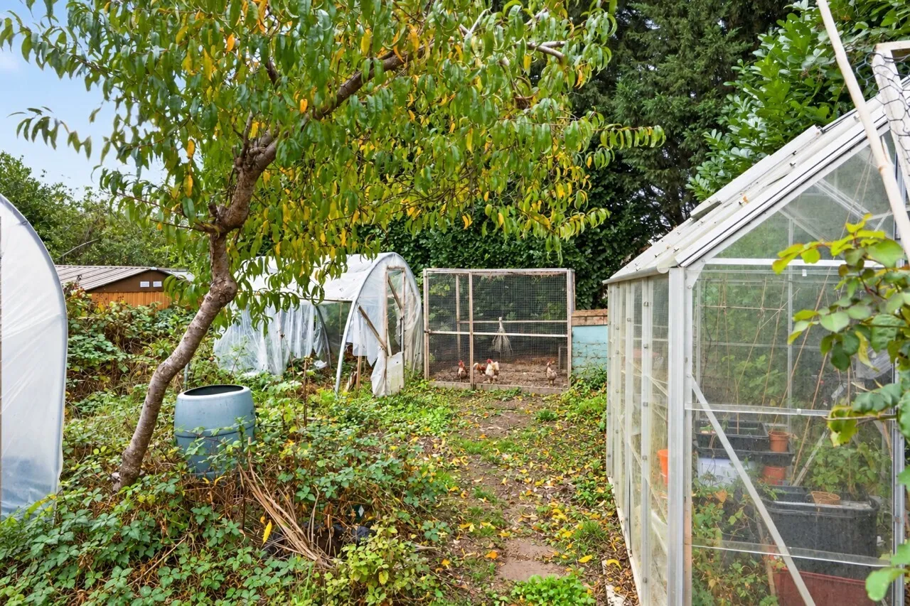 Abbots Avenue West, St. Albans, AL1, photo 17