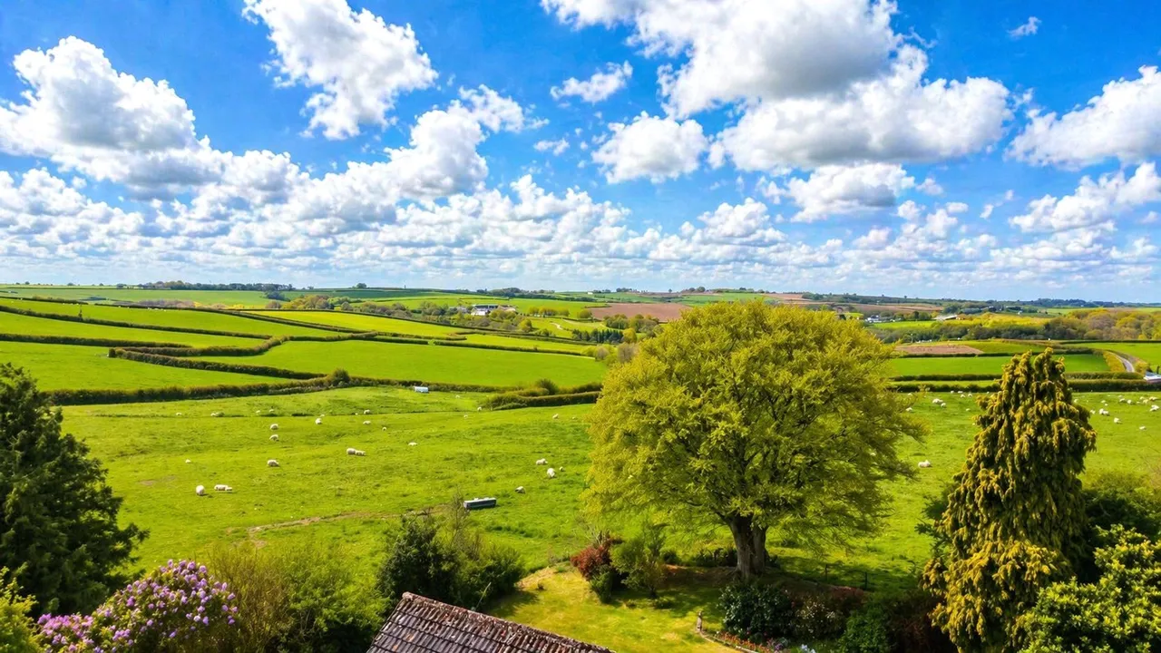 High Bickington, Umberleigh, EX37, photo 10