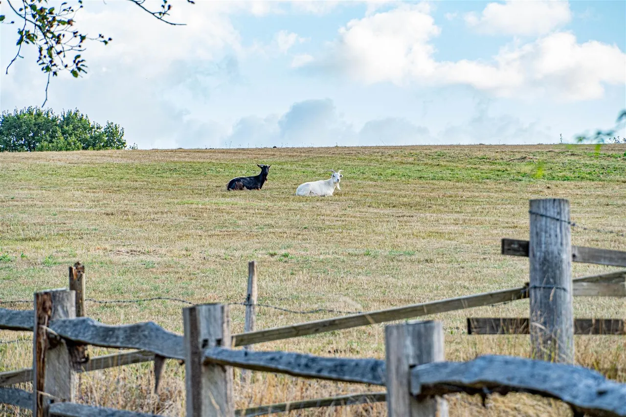 Skinners Lane, Catsfield, photo 46