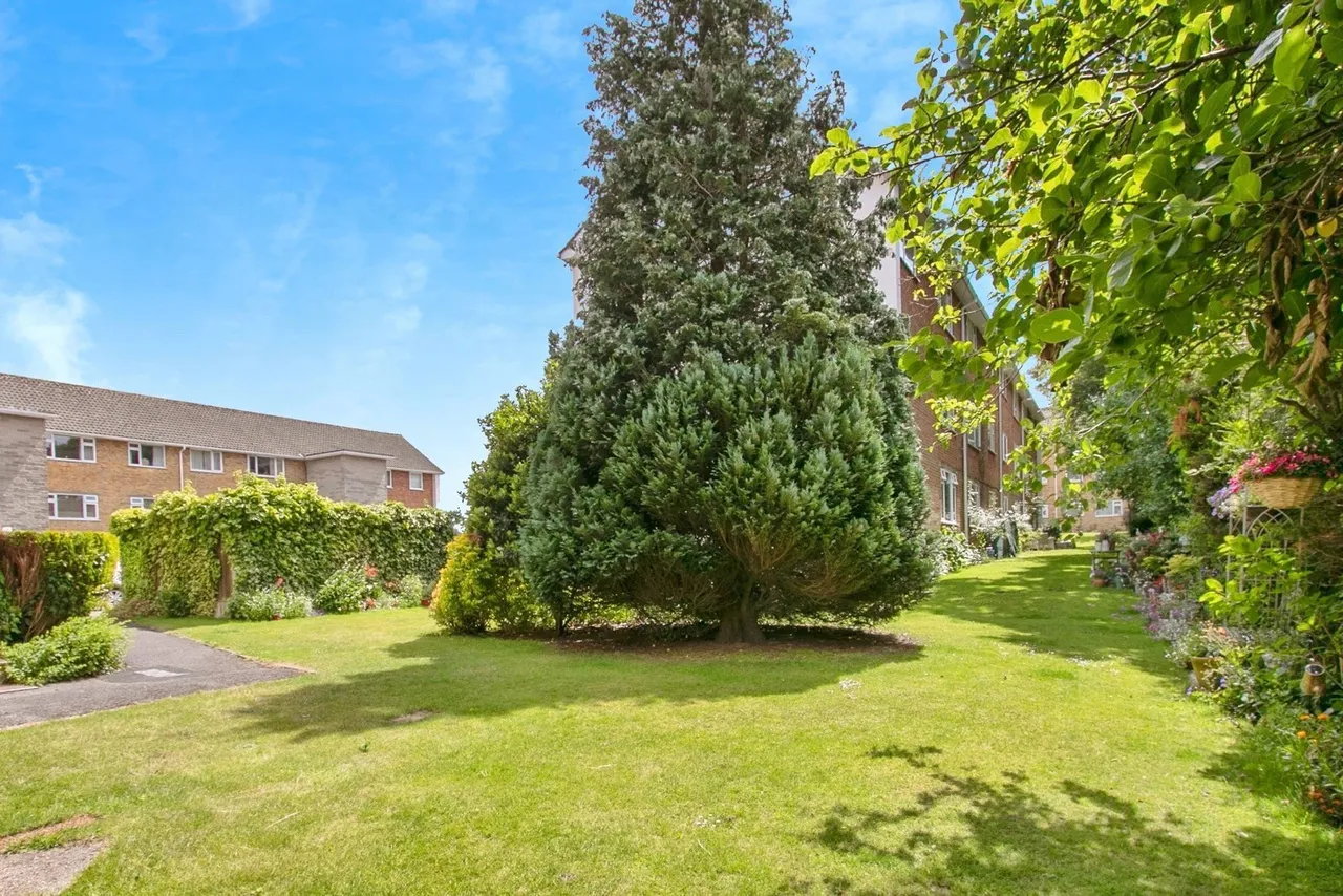 Portswood Drive, Redhill, BH10, photo 2