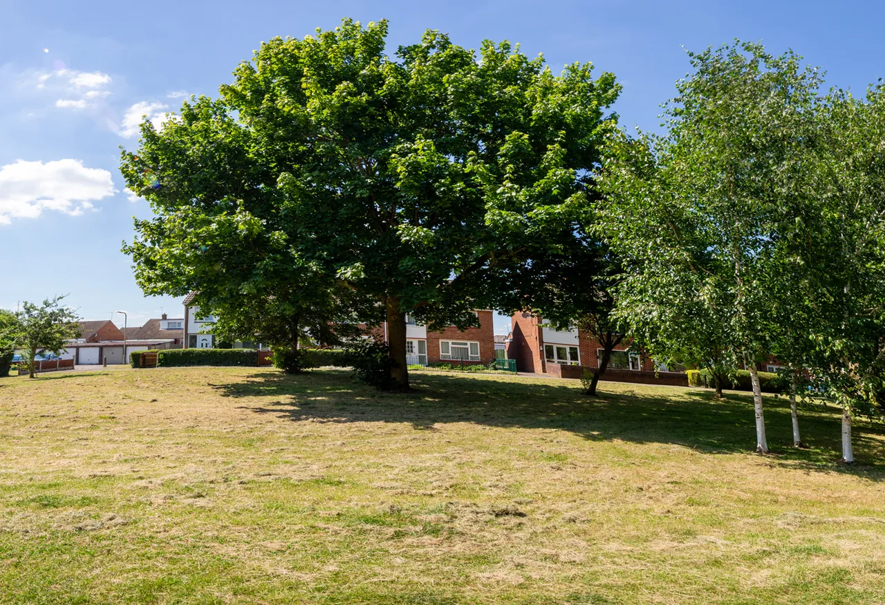 Ruskin Walk, Bicester, photo 24