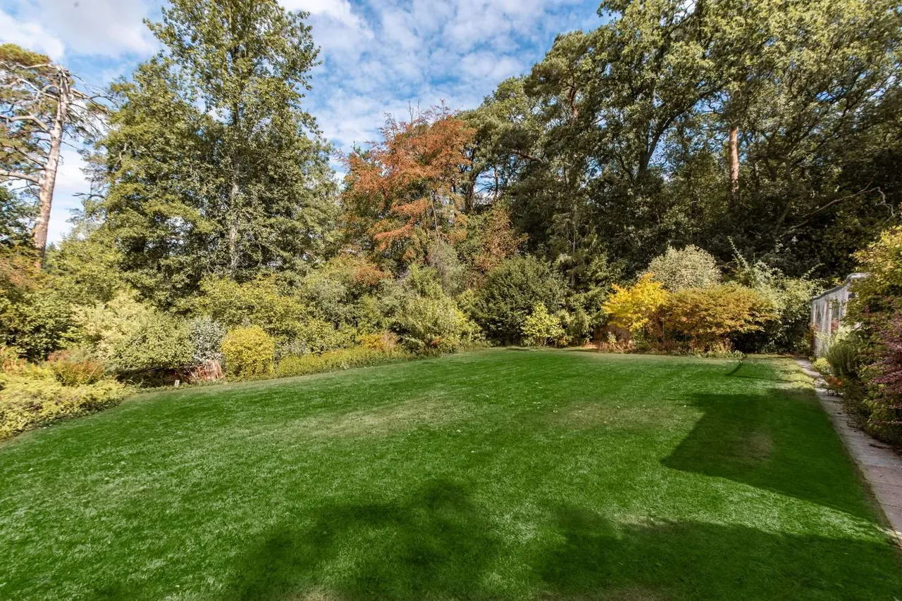 Westridge, Highclere, RG20, photo 31