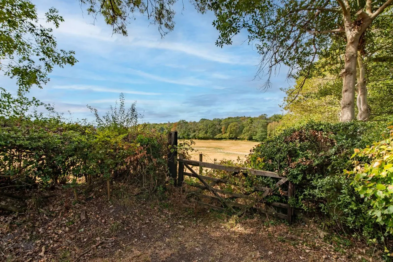 Westridge, Highclere, RG20, photo 22