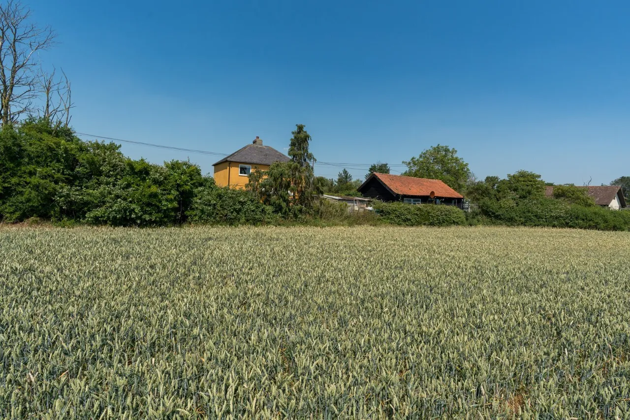 Wigborough Road, Peldon, CO5, photo 30