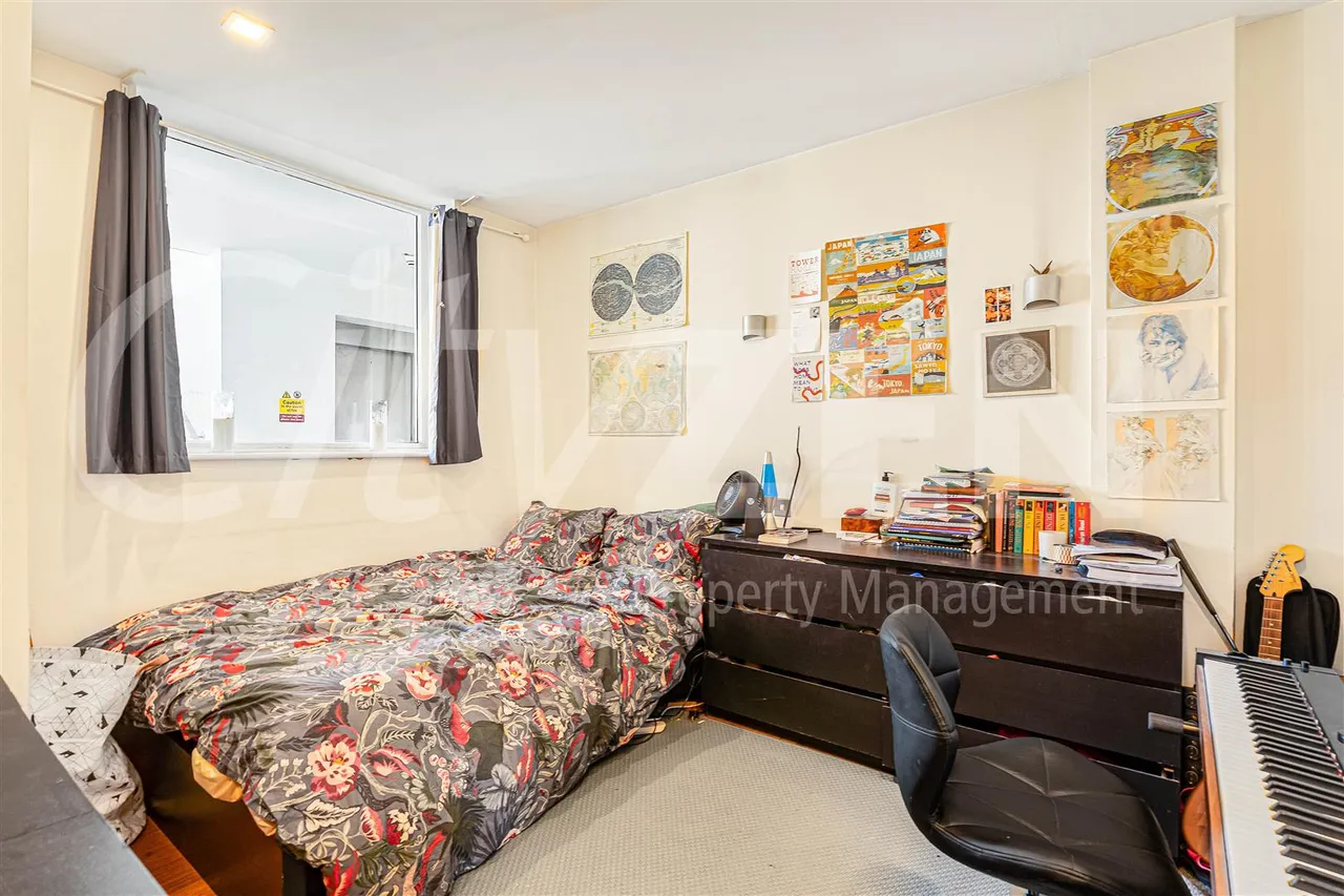 Plumbers Row, London, E1, photo 8