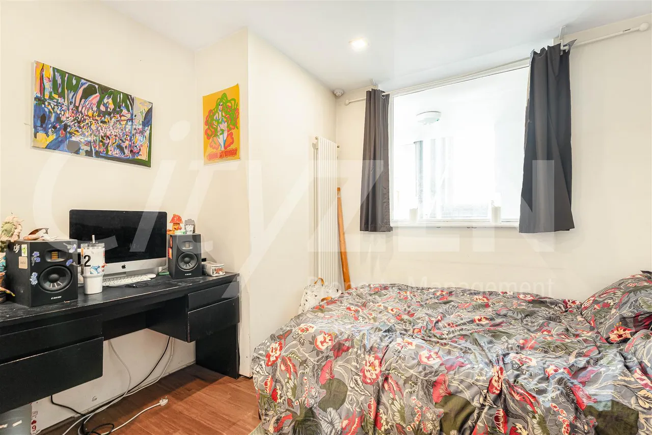 Plumbers Row, London, E1, photo 18