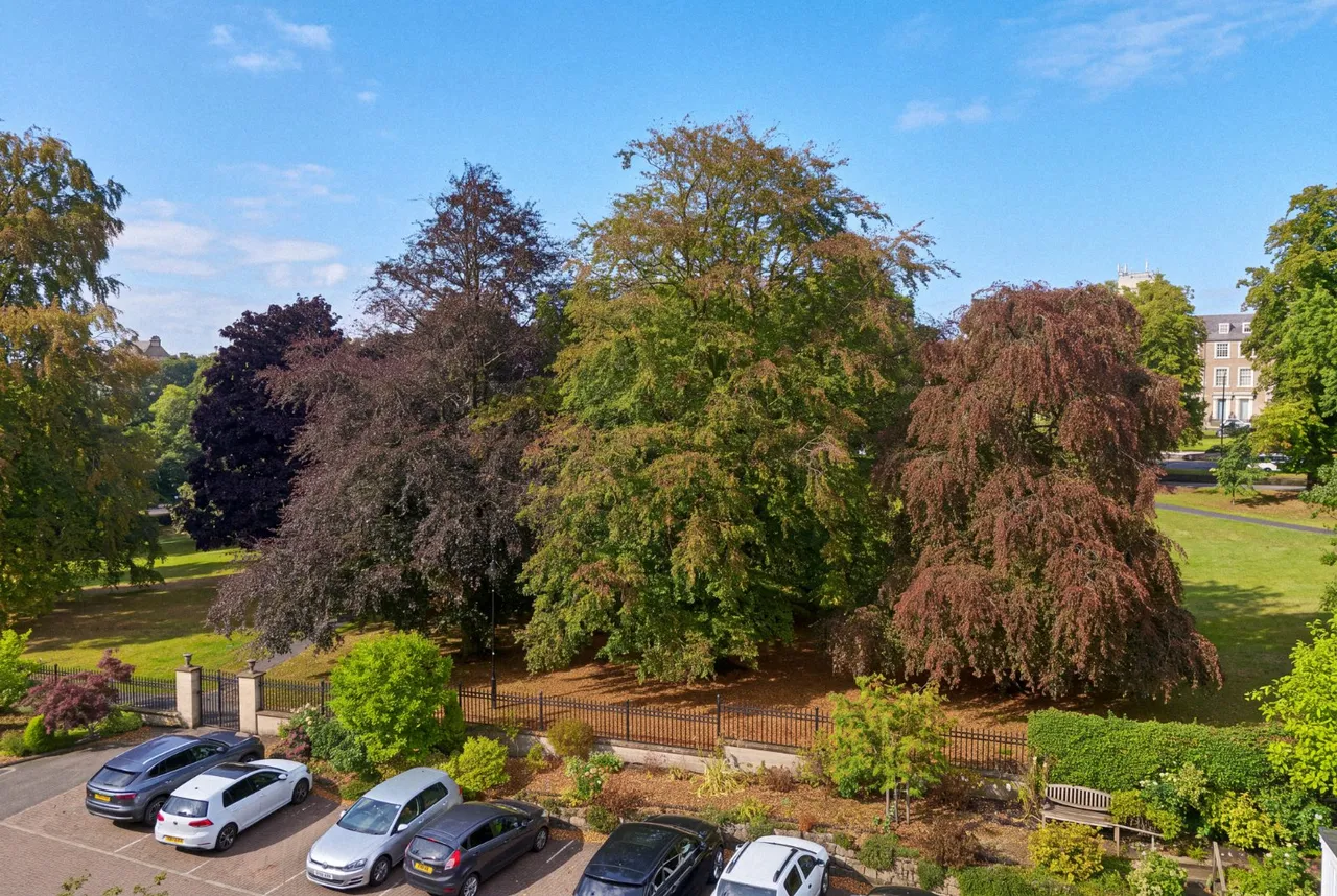 Victoria Road, Harrogate, HG2, photo 9