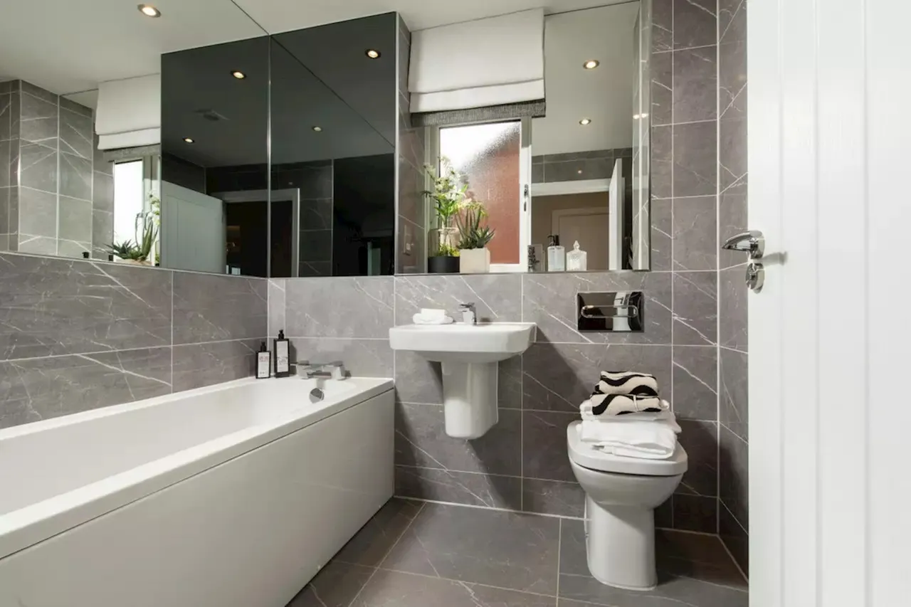 The Ferns, Kennett, CB8, photo 15