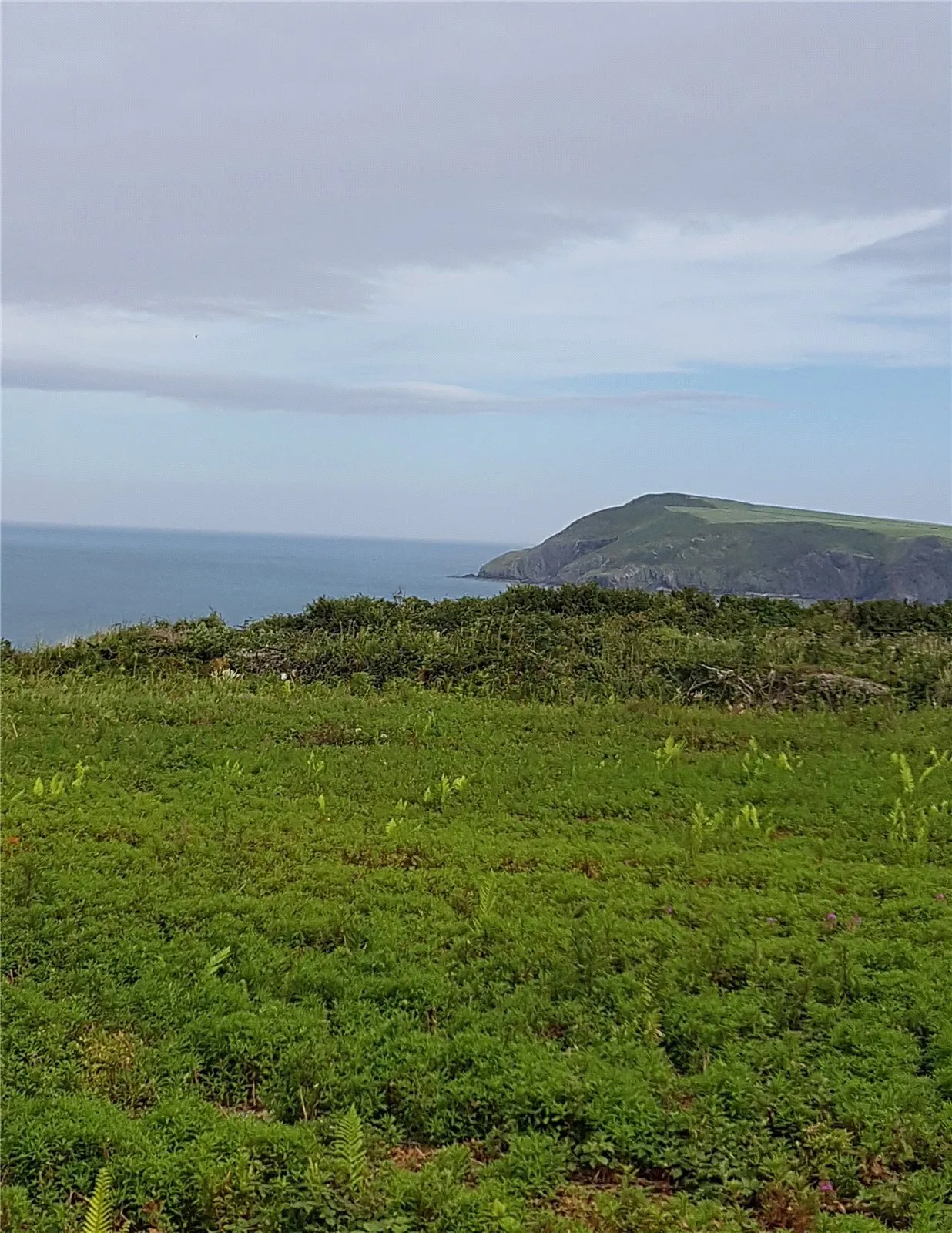 Fishguard Bay Resort, SA65, photo 19