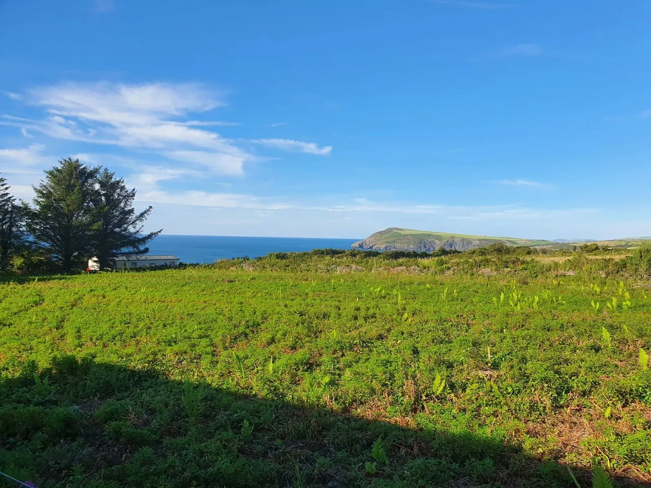 Fishguard Bay Resort, SA65, photo 18