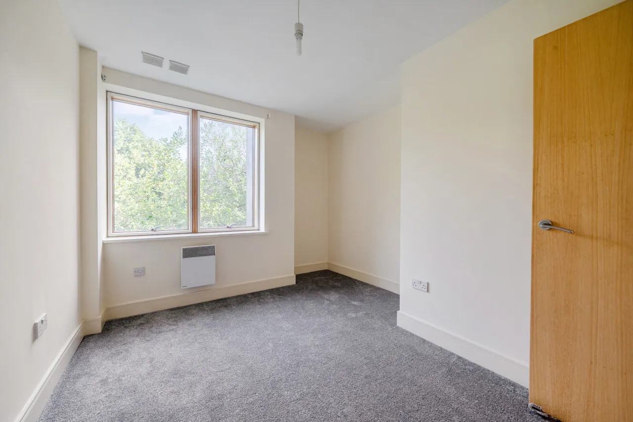 Albemarle Road, Beckenham, BR3, photo 8