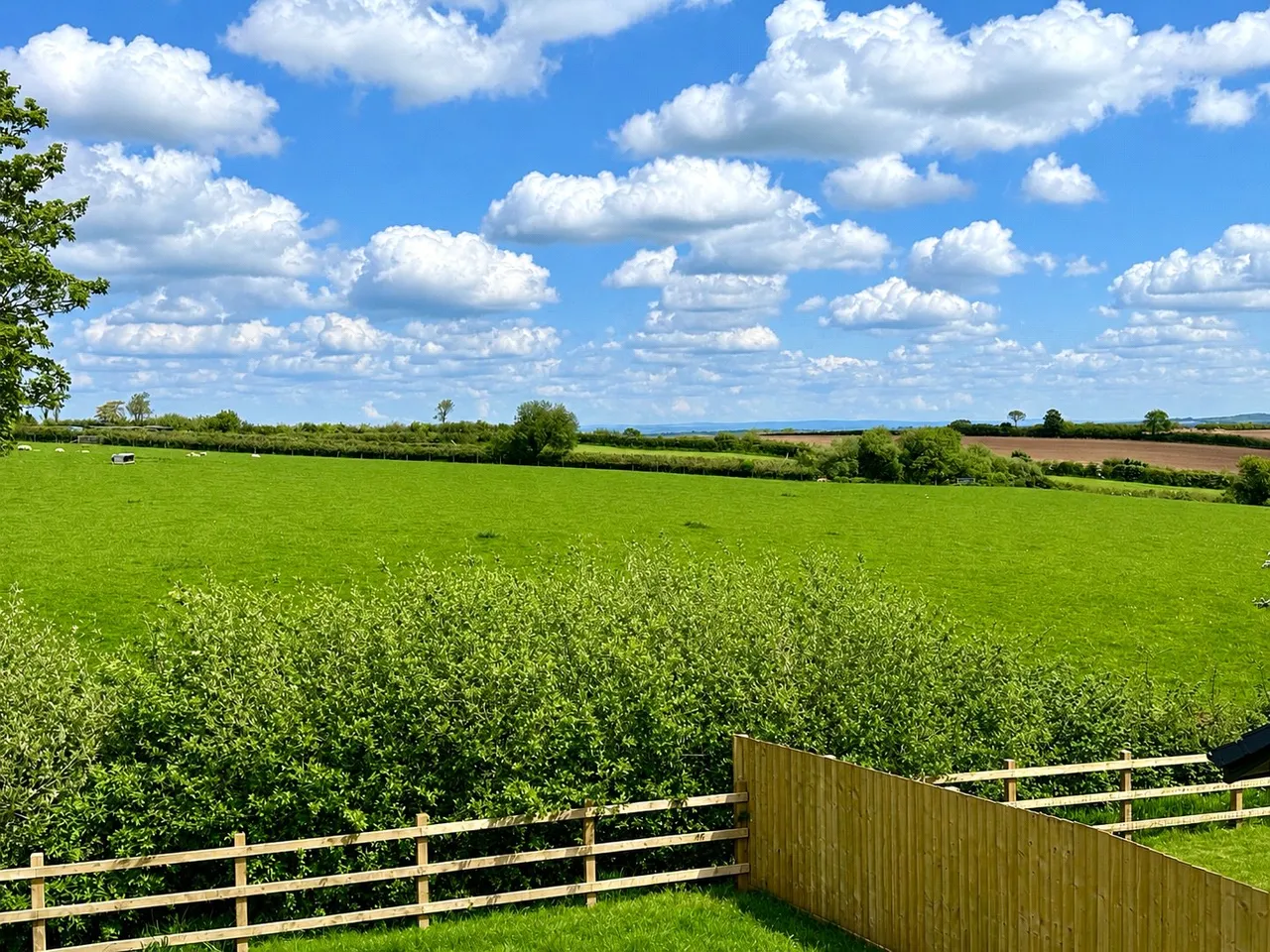 Copse Close, Buckland Brewer, EX39, photo 17