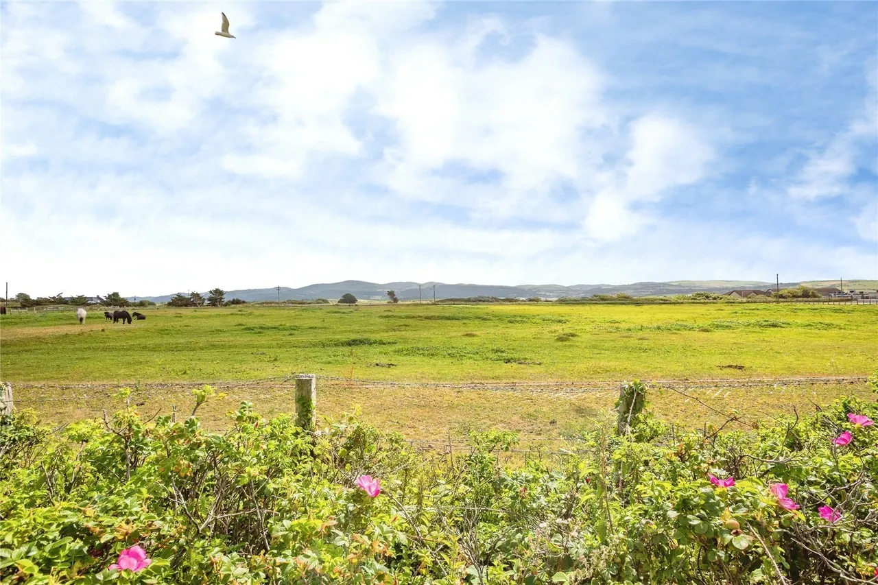 Ynyslas, Borth, SY24, photo 27