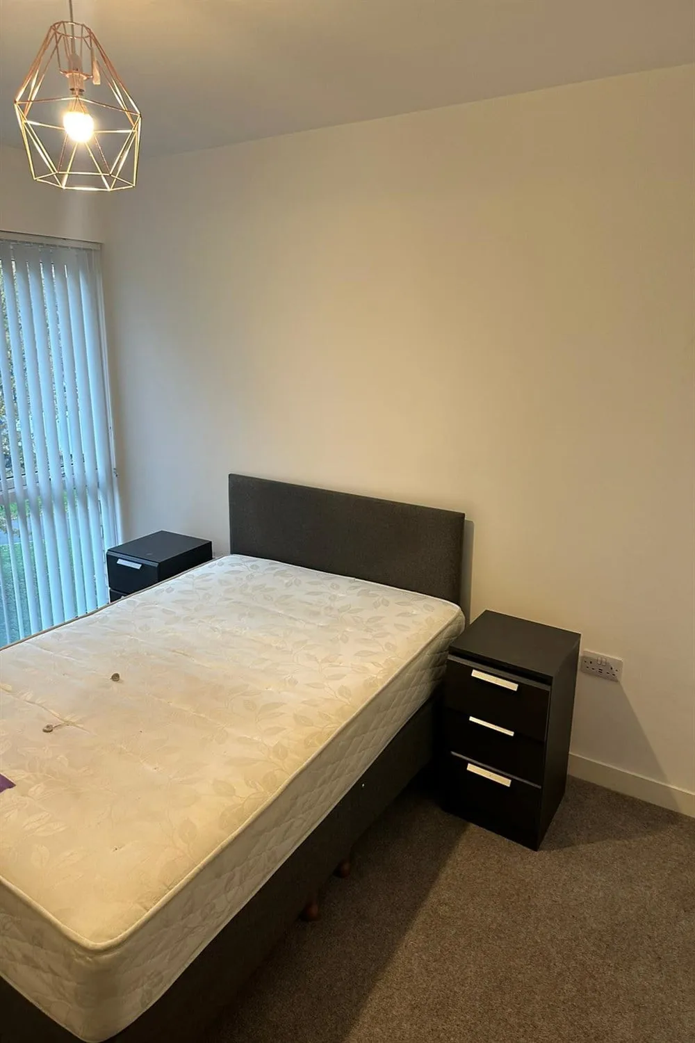 Lexington Gardens, Birmingham, B15, photo 8
