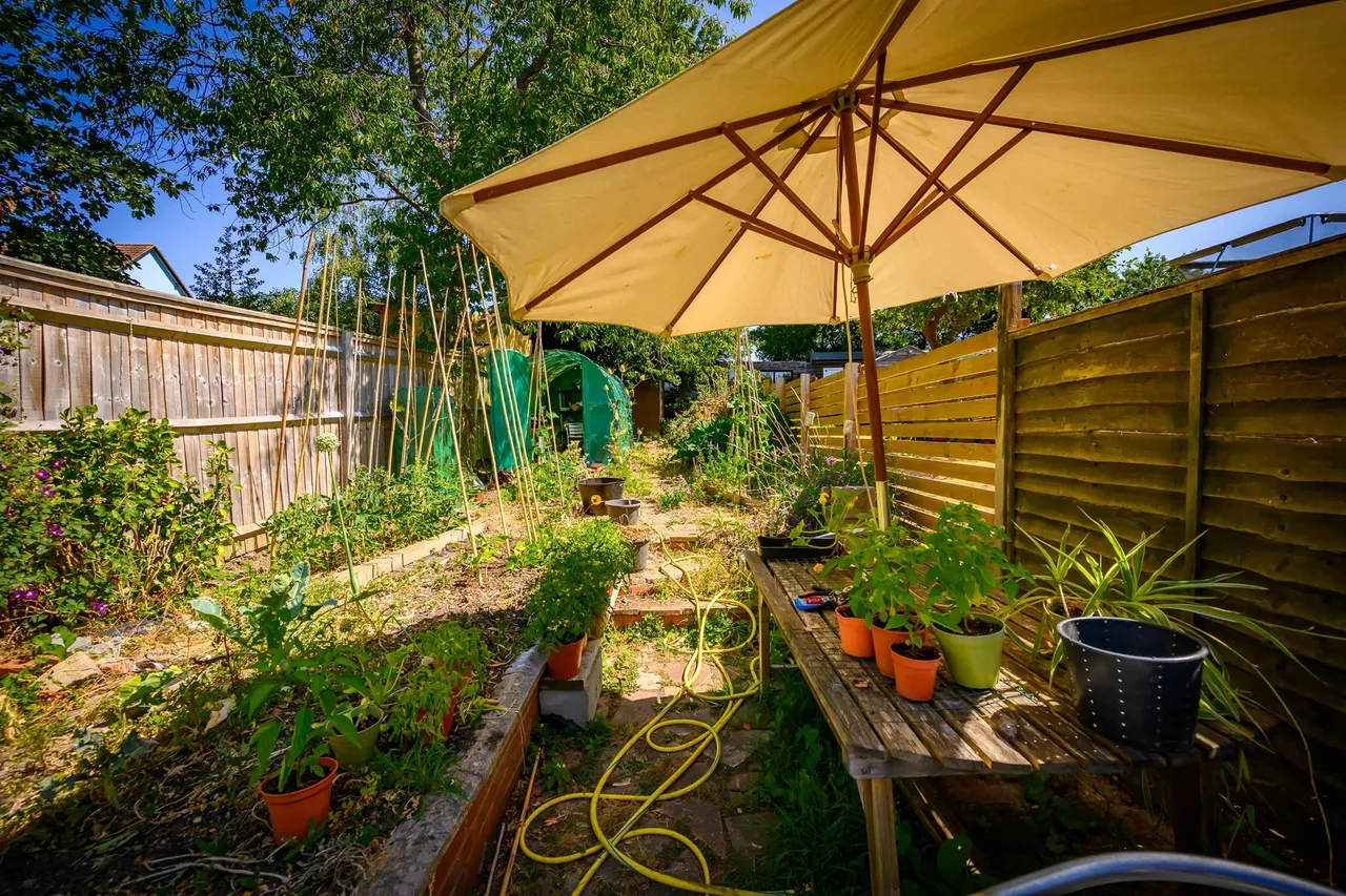 Lawn Lane, Hemel Hempstead, HP3, photo 4