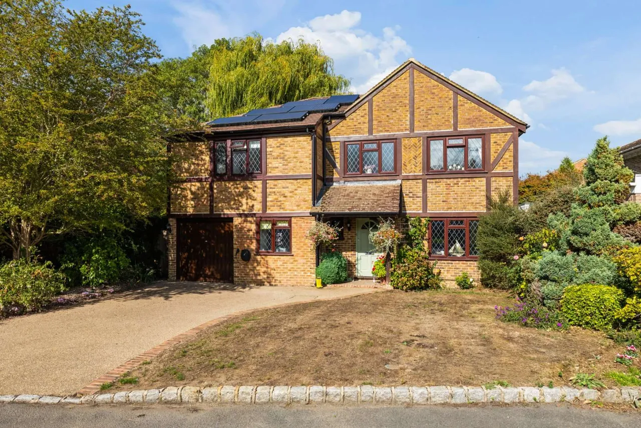 Dunlin Rise, Guildford, GU4, photo 24