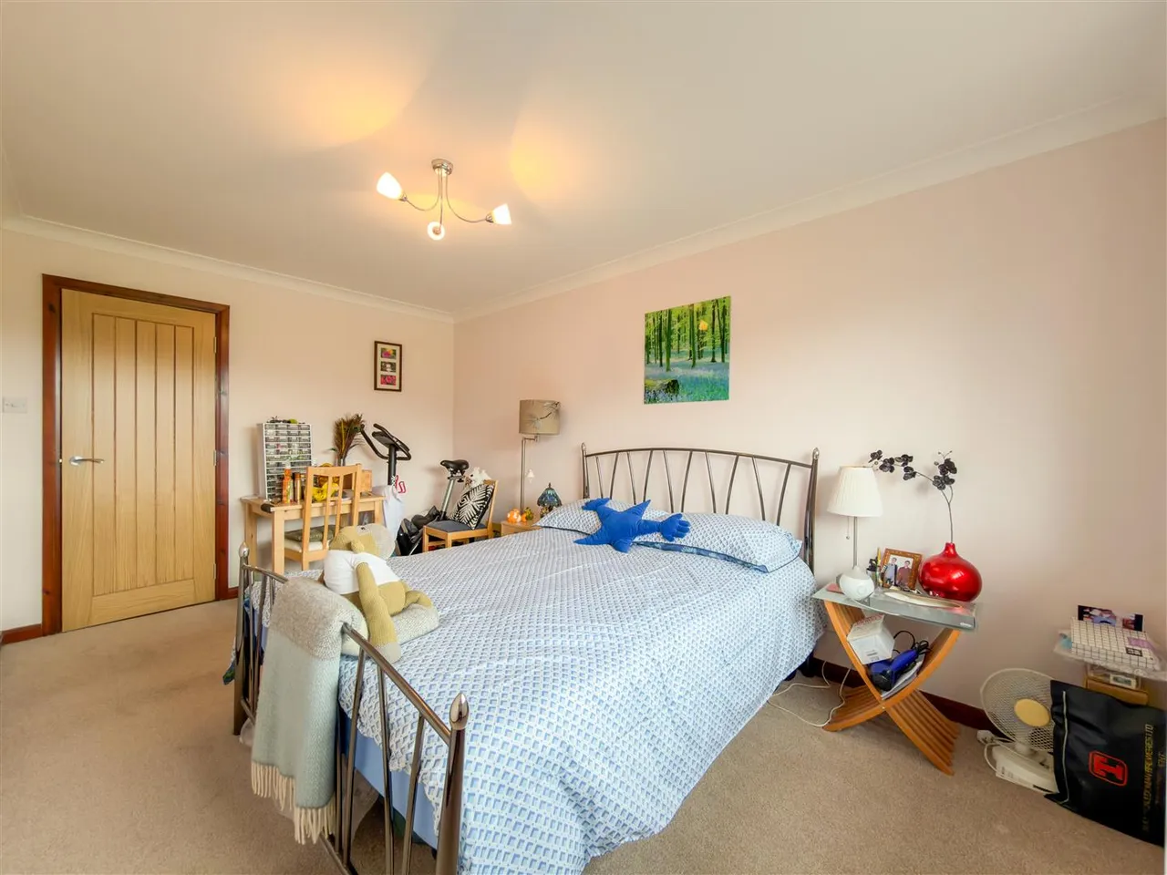 Carlisle Road, Crawford, Biggar, ML12 6TW, photo 24