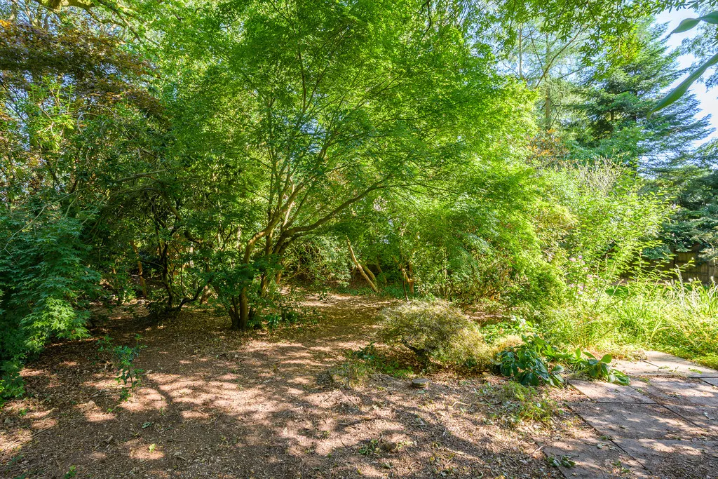 Tower Road, Ashley Heath, photo 27