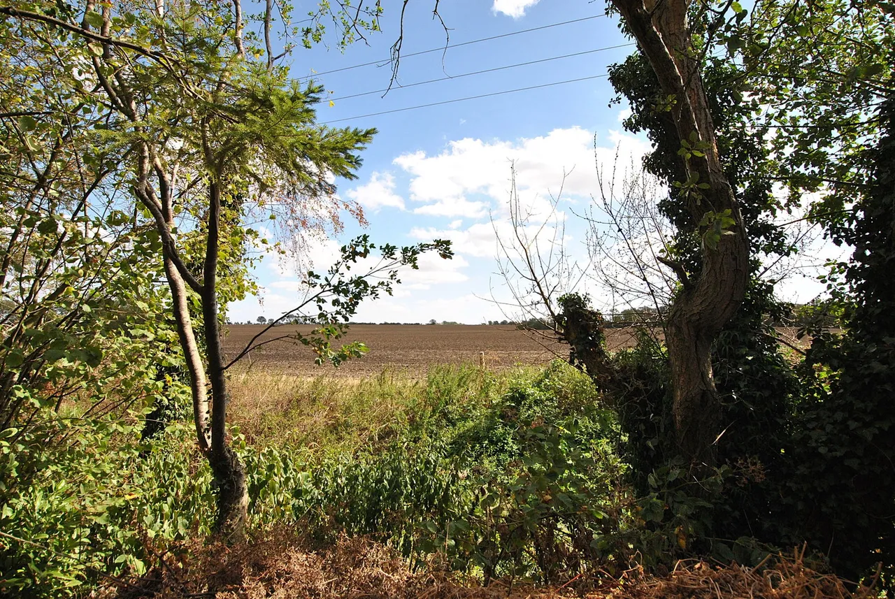 Horseshoes Lane, Weston Colville, CB21, photo 14