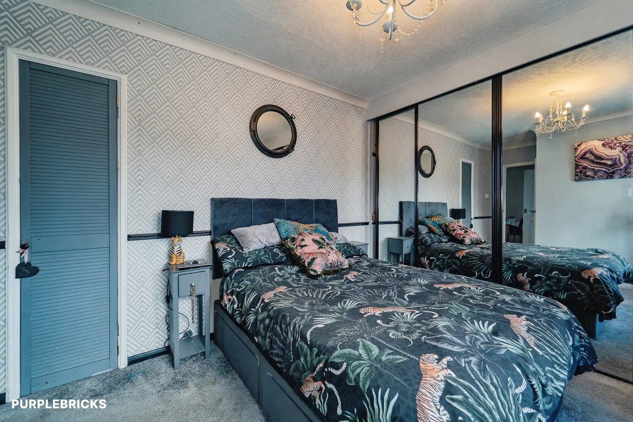 Cypress Avenue, Swansea, SA3, photo 11