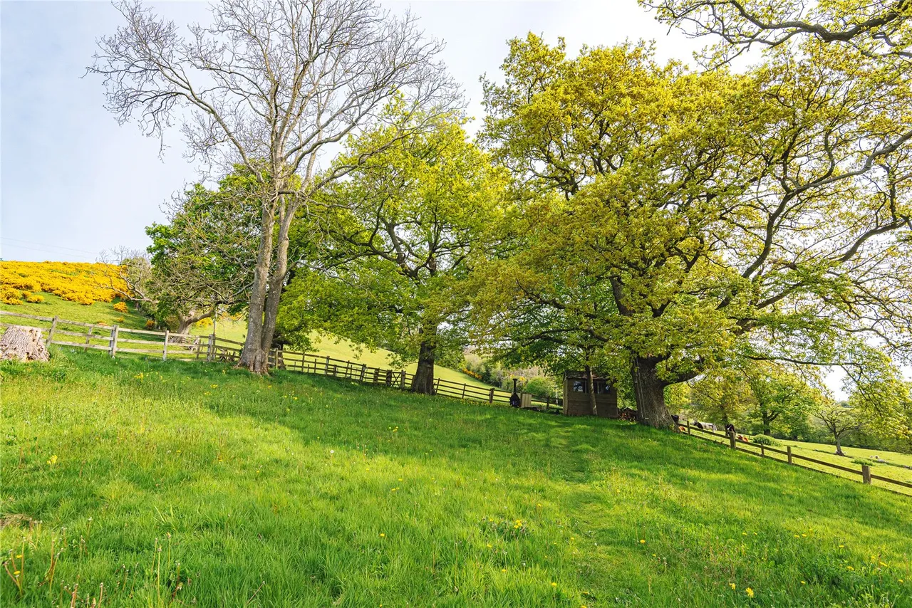 Kerry, Newtown, Powys, SY16 4NA, photo 26