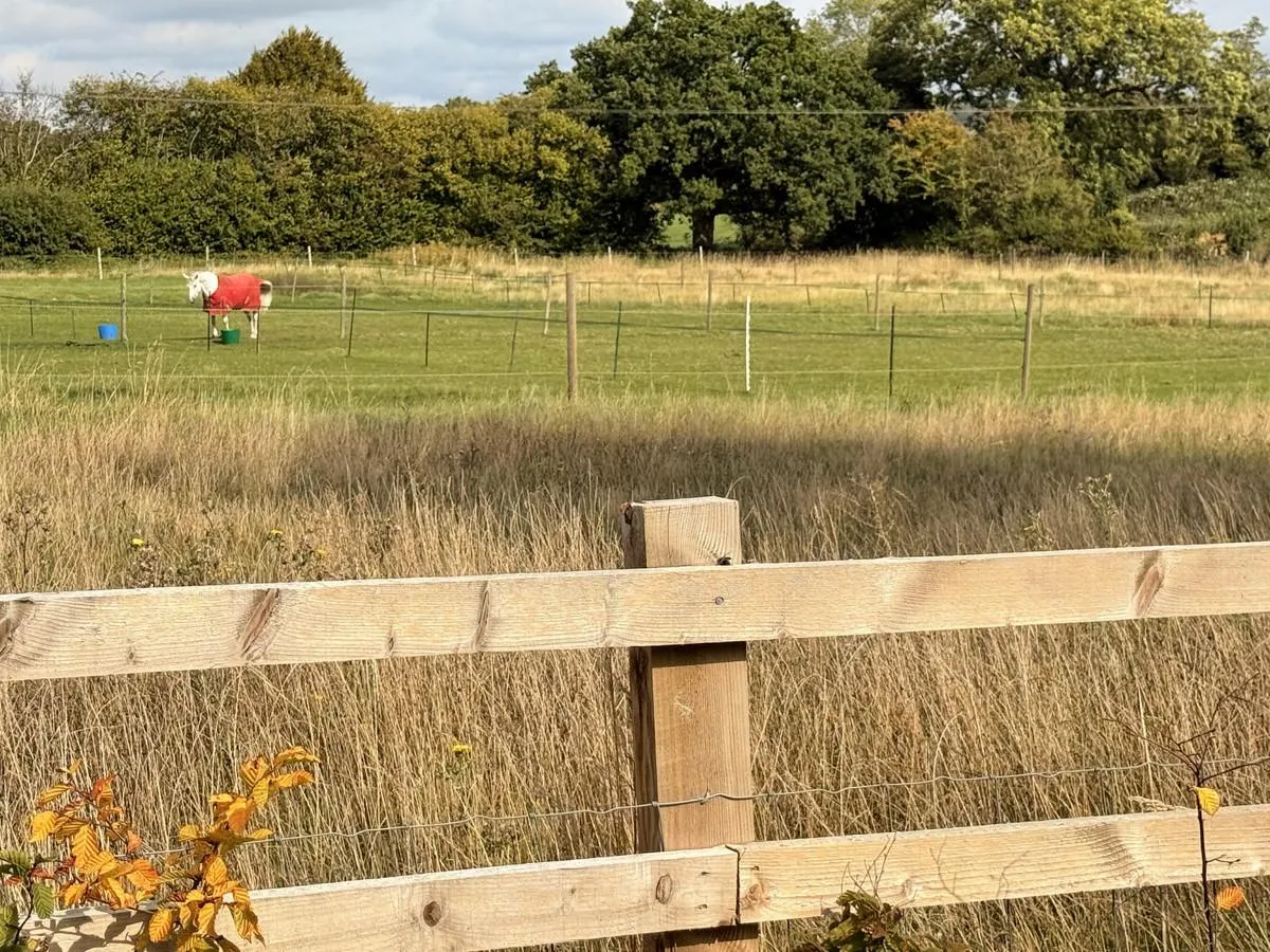 Washbrook Lane, Allesley, CV5, photo 36