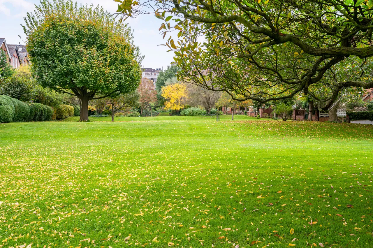 London, NW6, photo 11