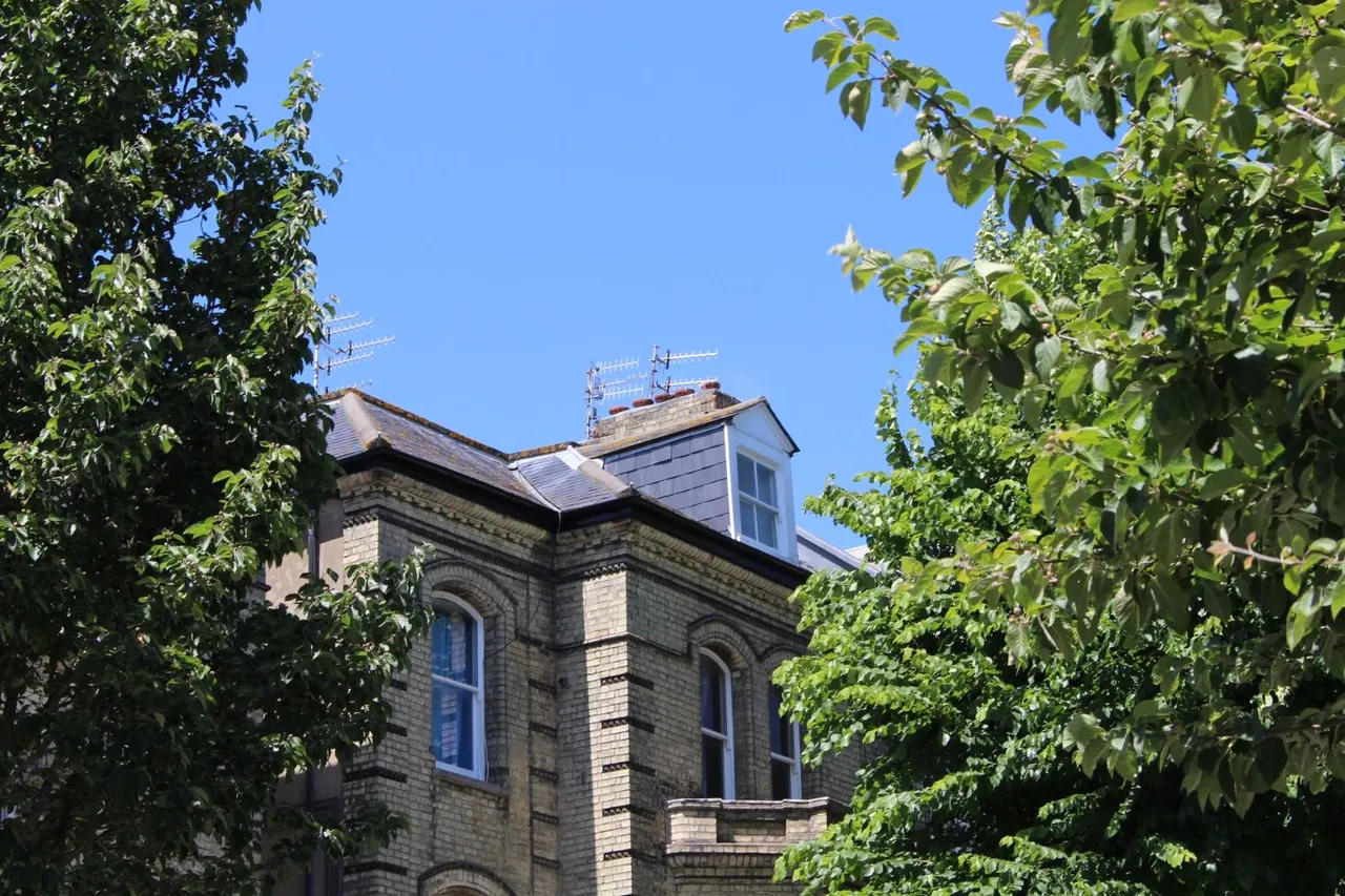 Salisbury Road, Hove, BN3, photo 10
