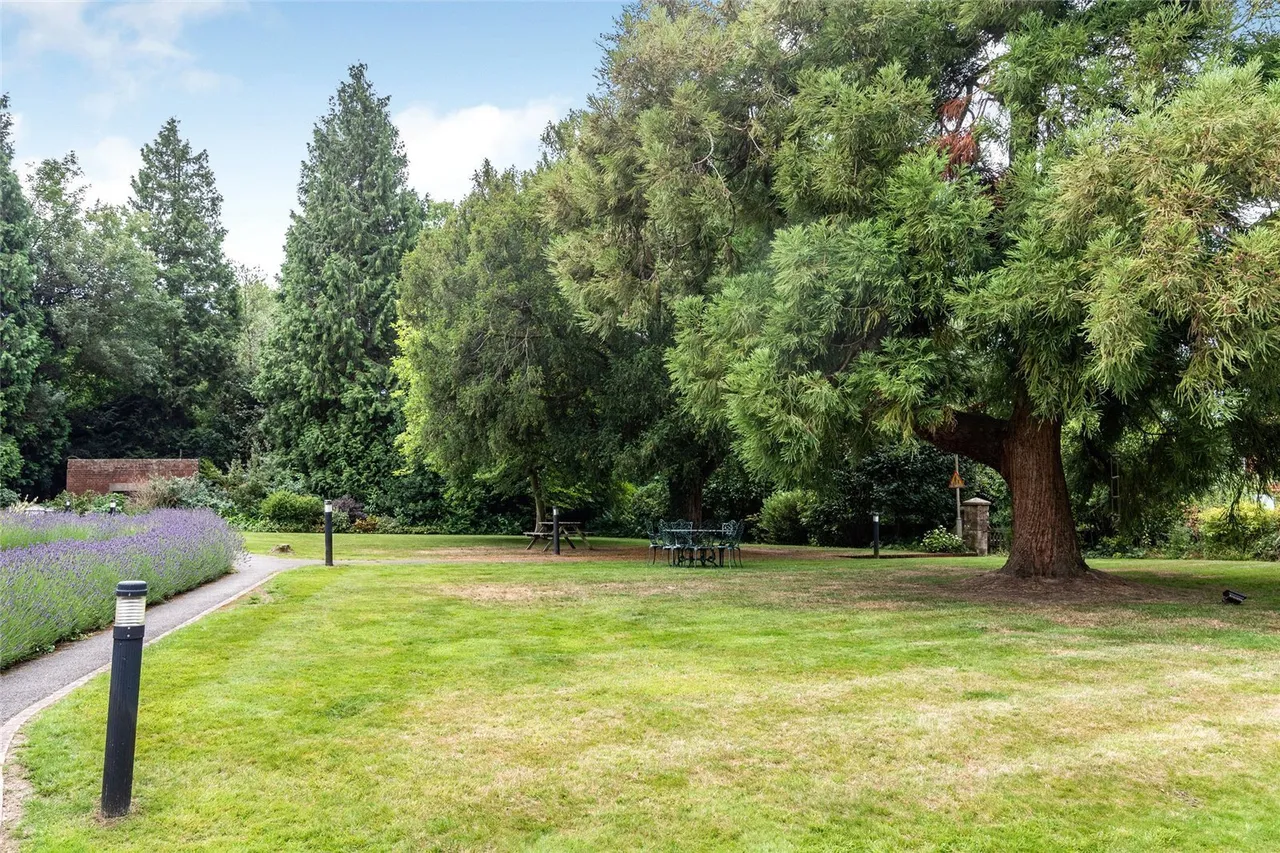 Eden Court, Ticehurst, TN5, photo 14