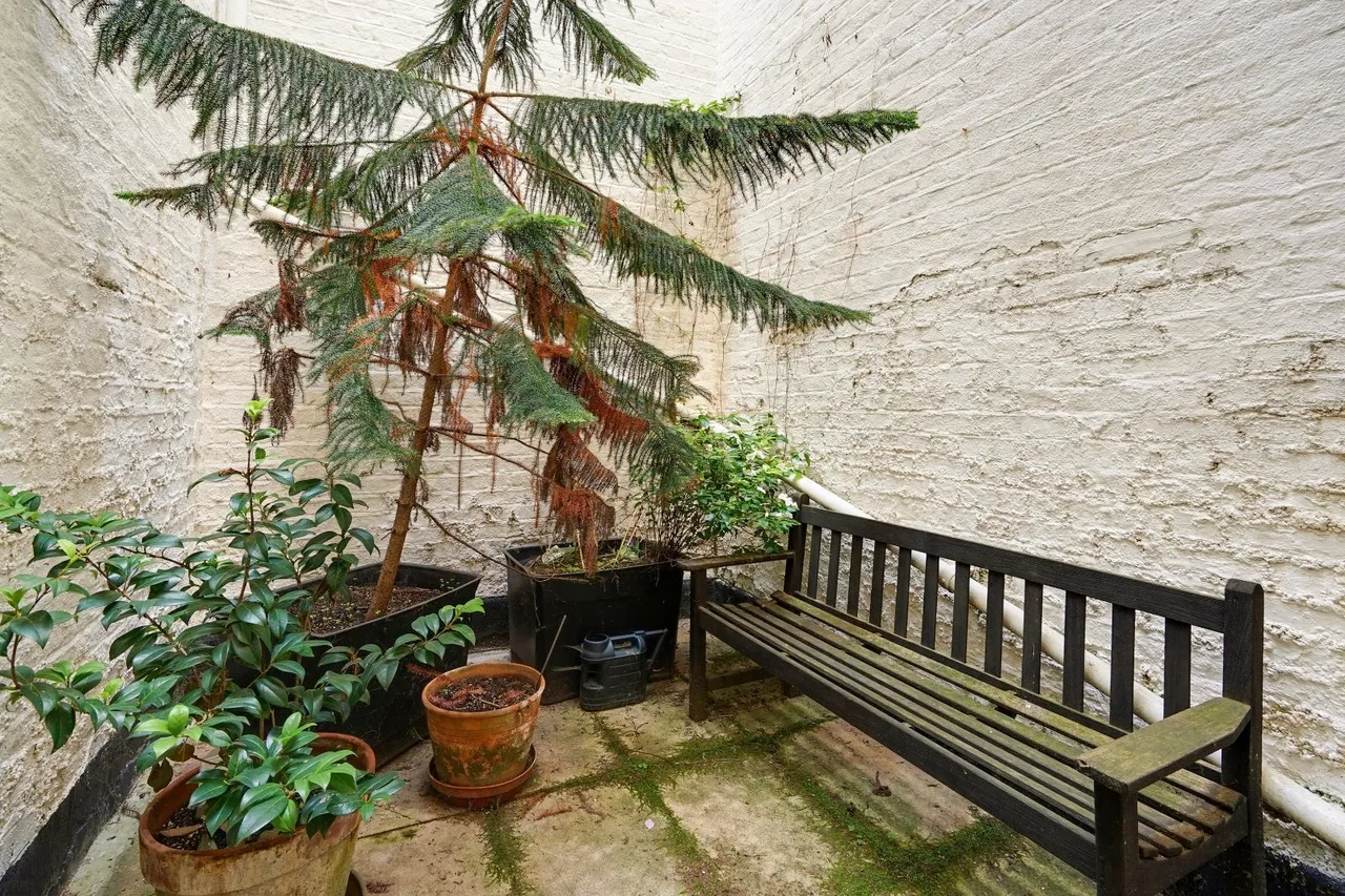 Sutherland Street, London, SW1V, photo 8