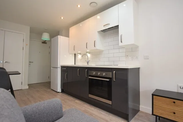 Beeley, 23 Acorn Street, Sheffield, S3 8FD, photo 6
