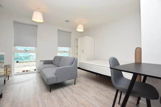 Beeley, 23 Acorn Street, Sheffield, S3 8FD, photo 5