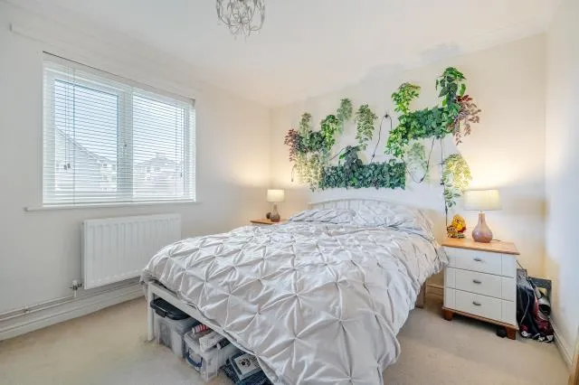 Rossetti Close, Basingstoke, RG24, photo 9