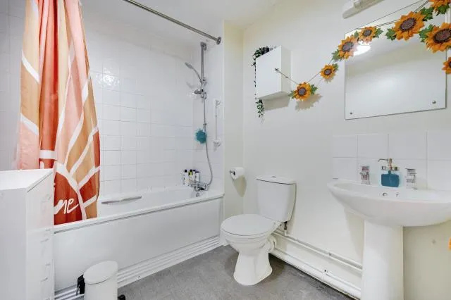 Rossetti Close, Basingstoke, RG24, photo 7