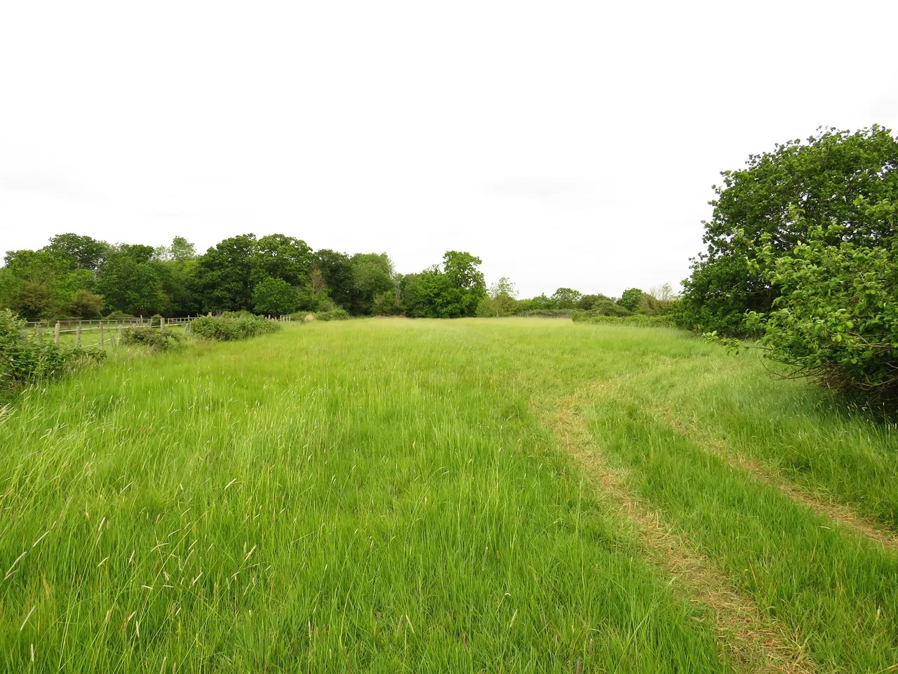 residential (land) for sale — Westfield Road, Manea, March