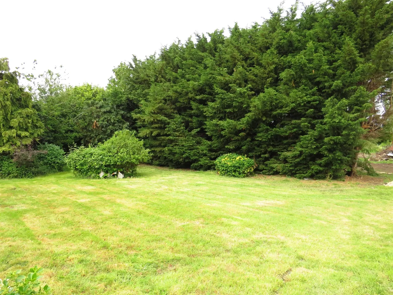 Westfield Road, Manea, March, photo 4