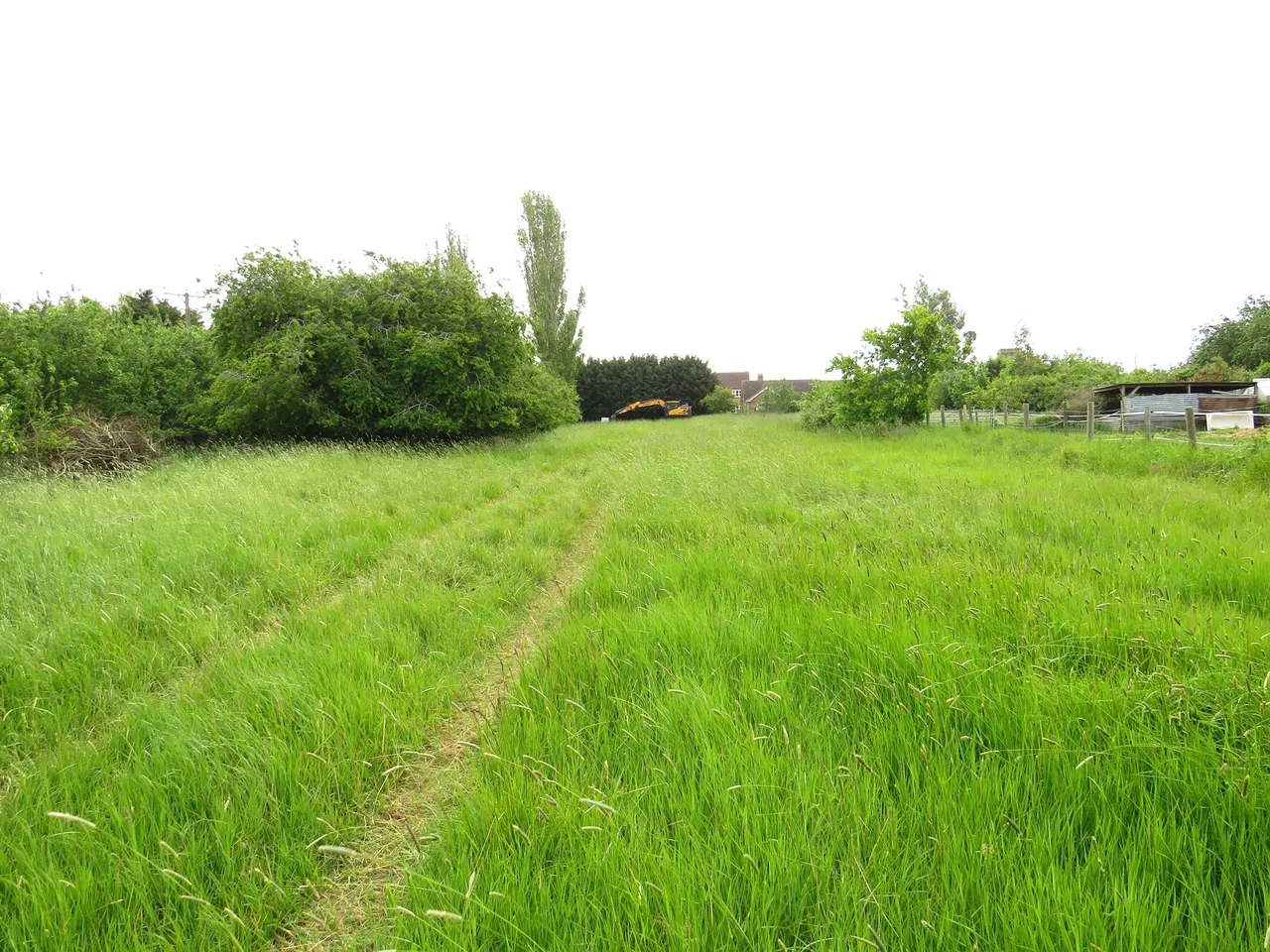 Westfield Road, Manea, March, photo 6