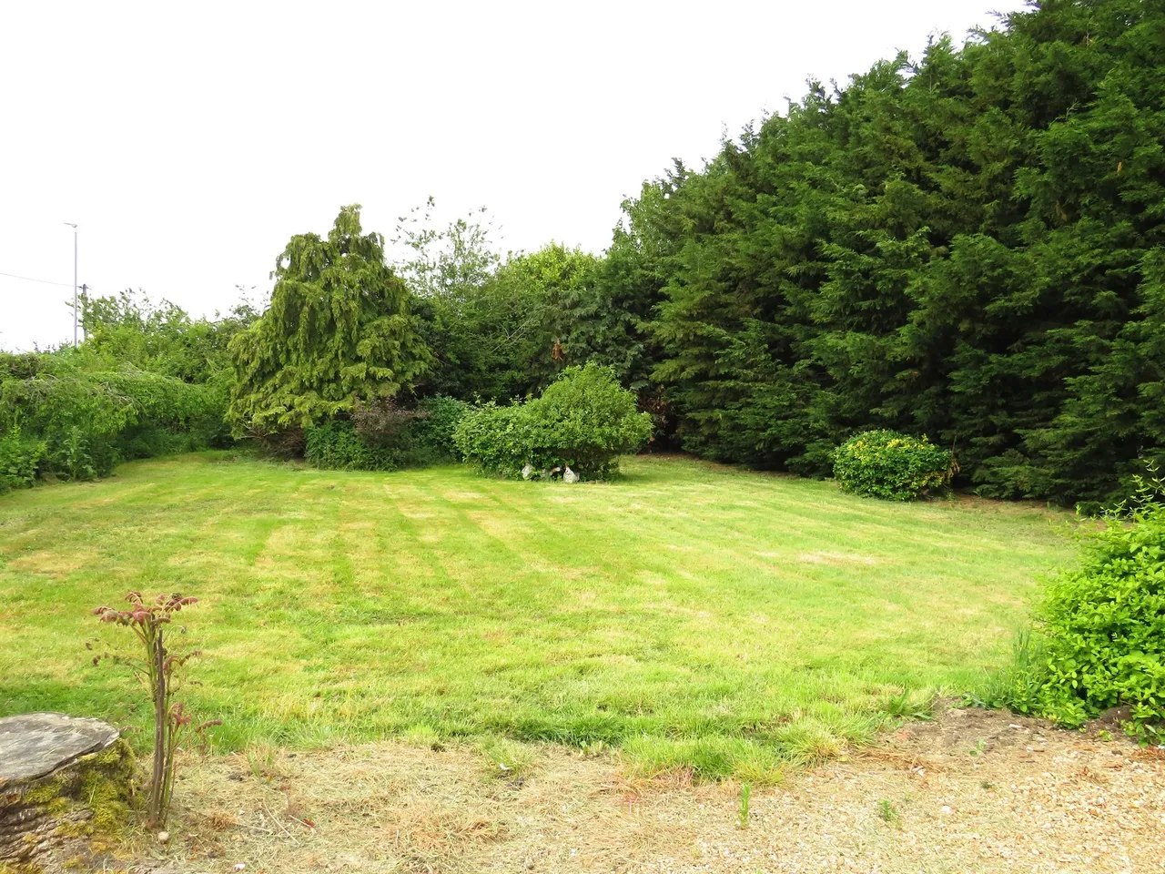 Westfield Road, Manea, March, photo 2