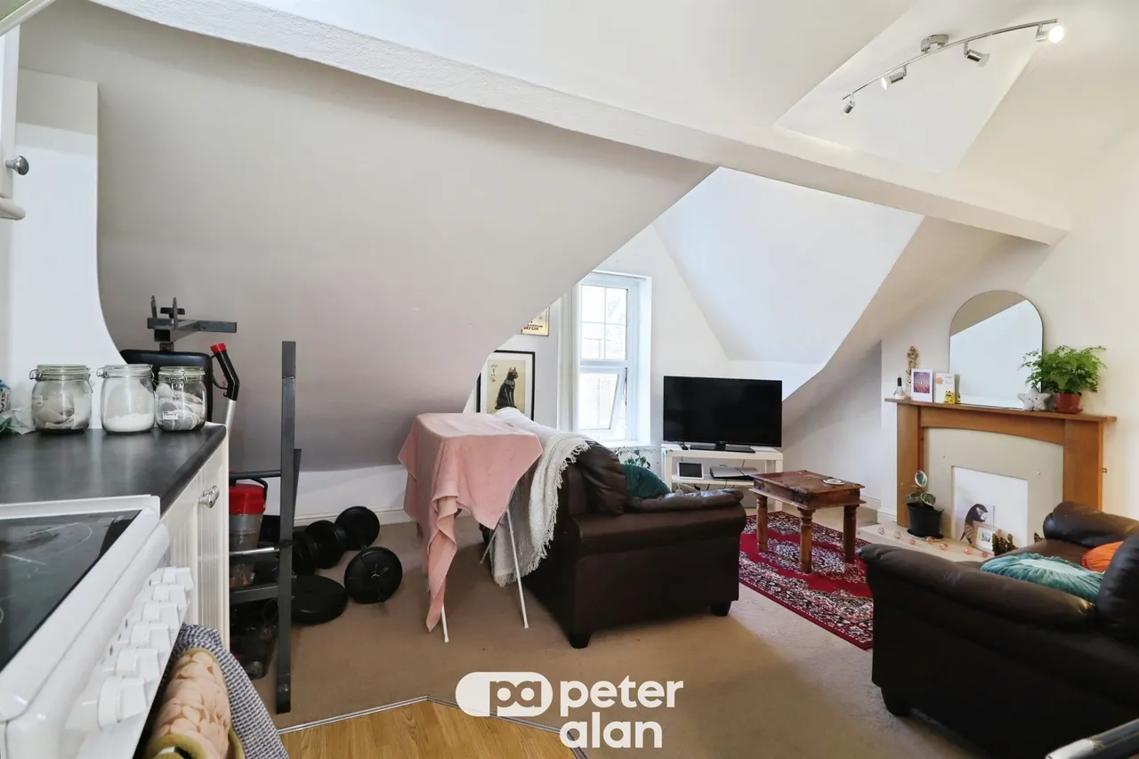 Claude Road, Cardiff, CF24, photo 18