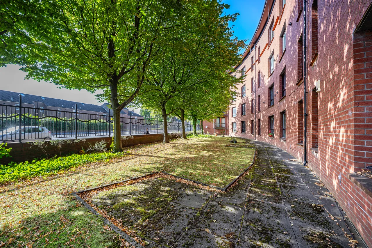 Bellgrove Street, Dennistoun, G31, photo 22