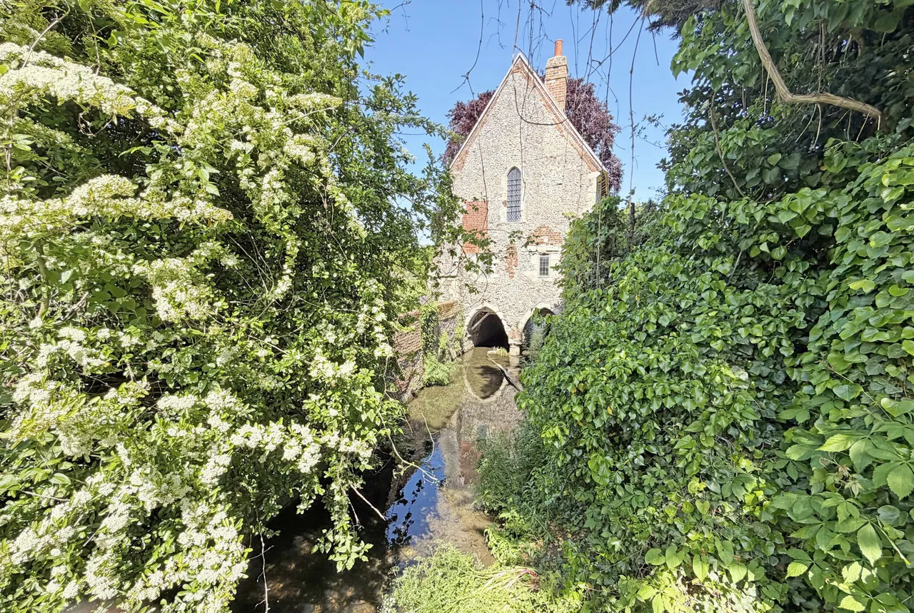 Back Lane, Canterbury, CT1 2FX, photo 12