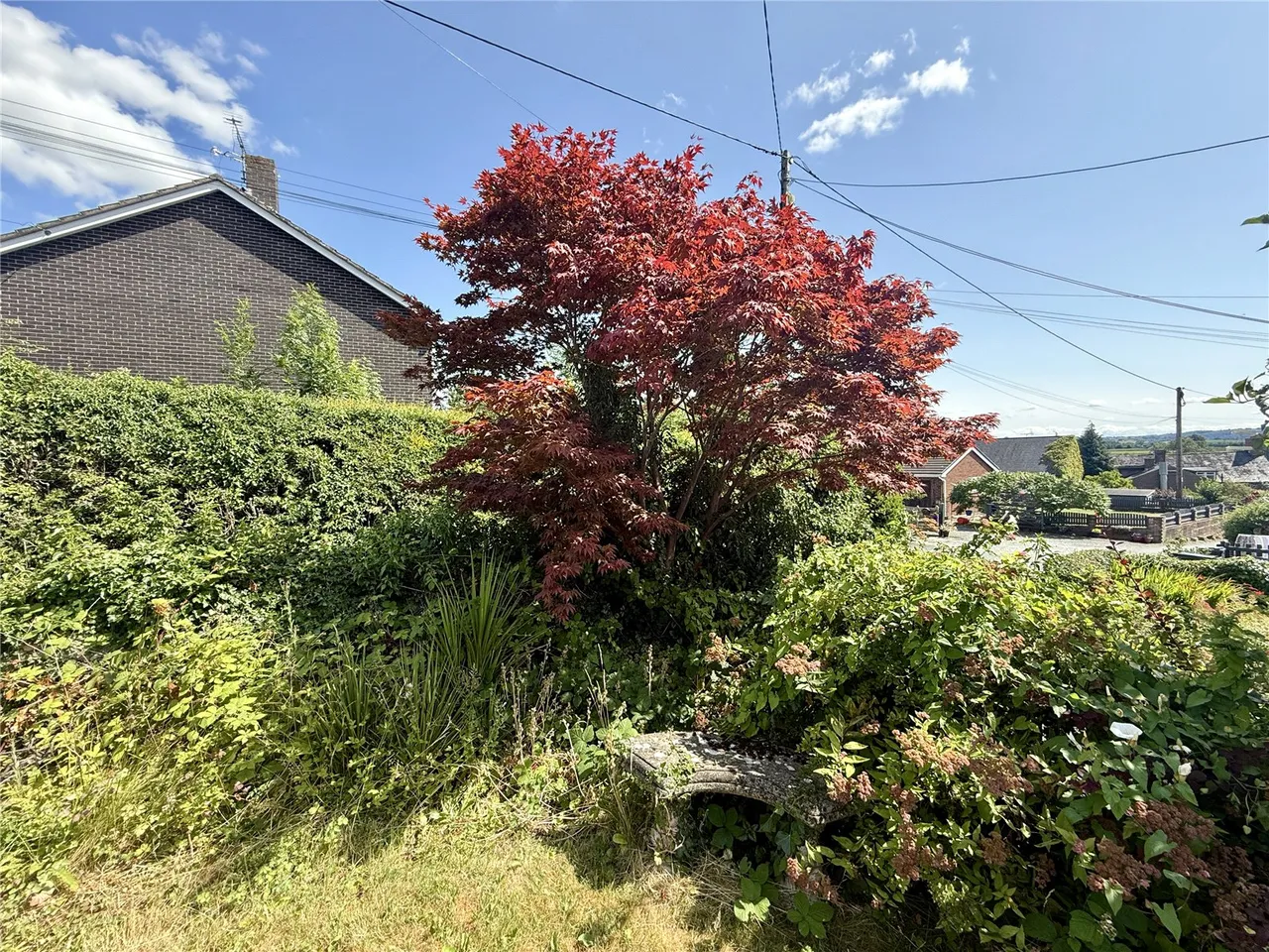 Church Lane, Llansantffraid, photo 20