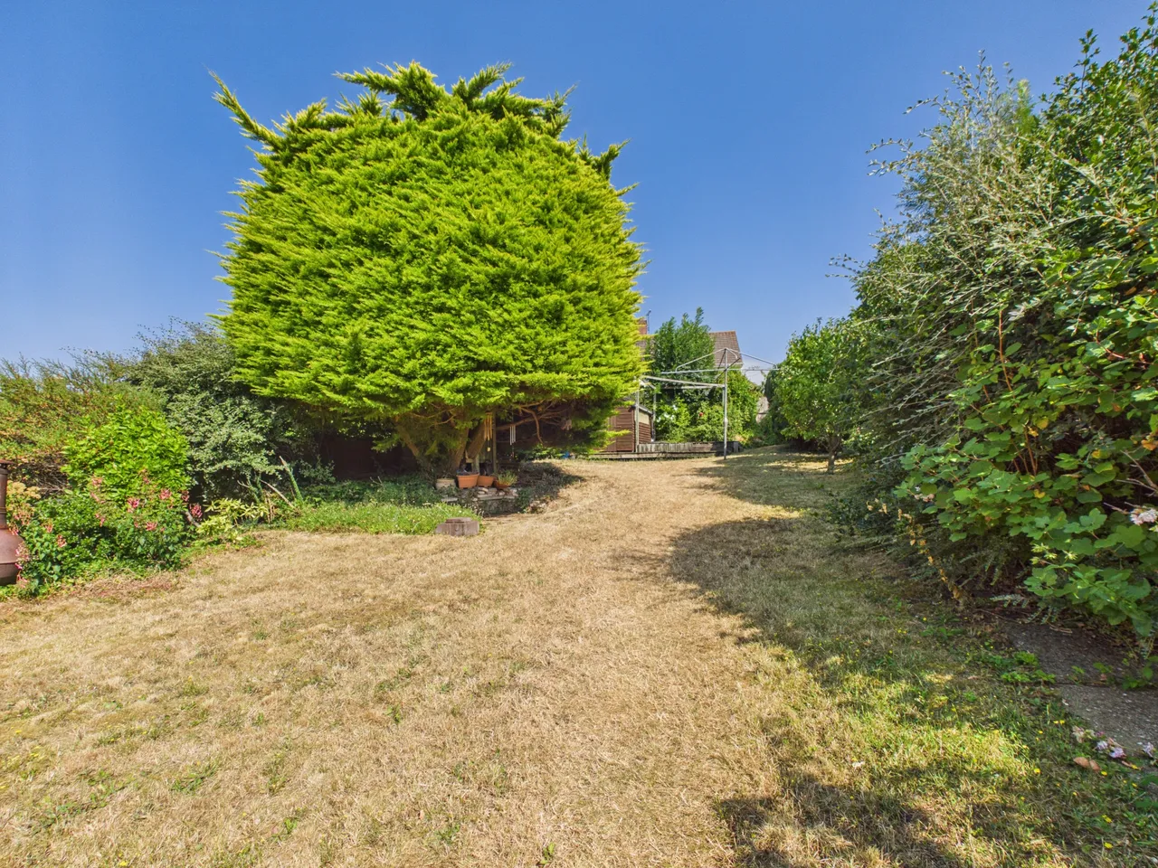 Willoughby Road, Bridgwater, photo 18