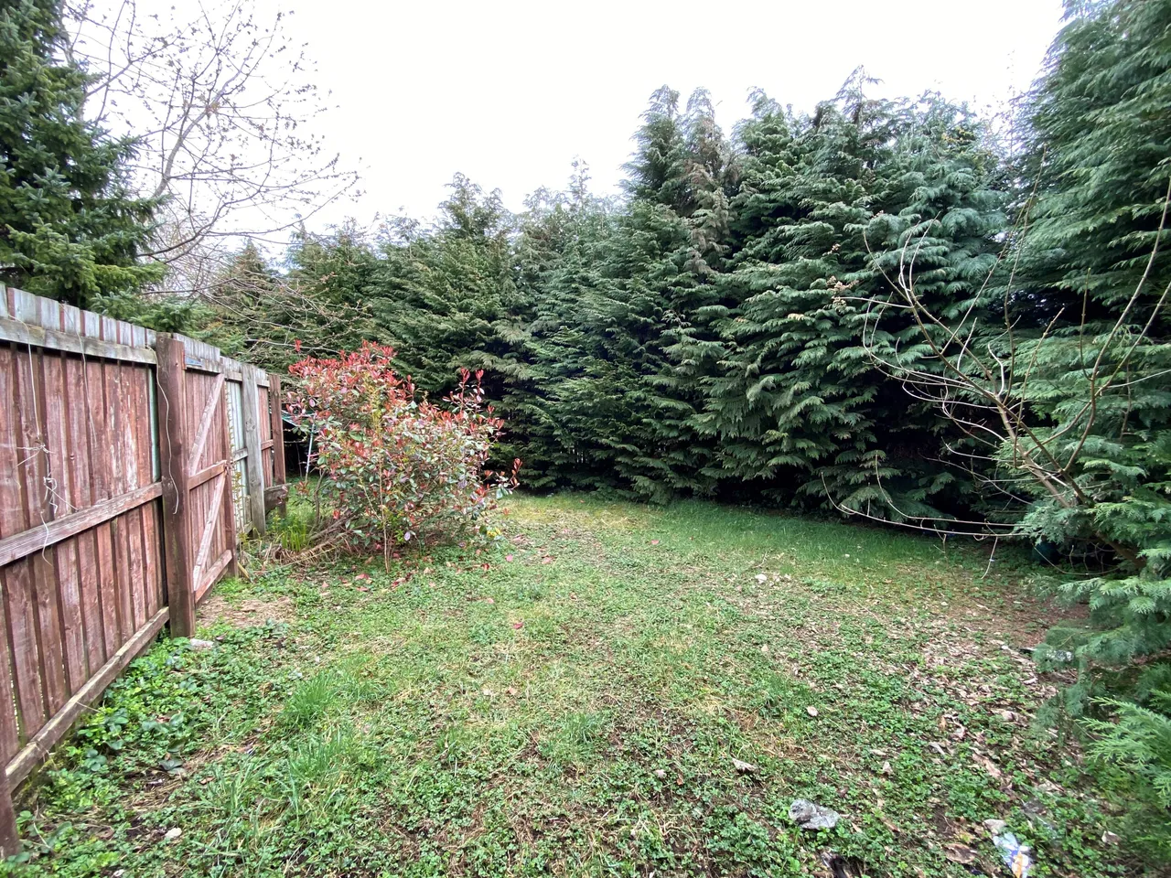 Moorhill Crescent, Newton Mearns, G77, photo 12