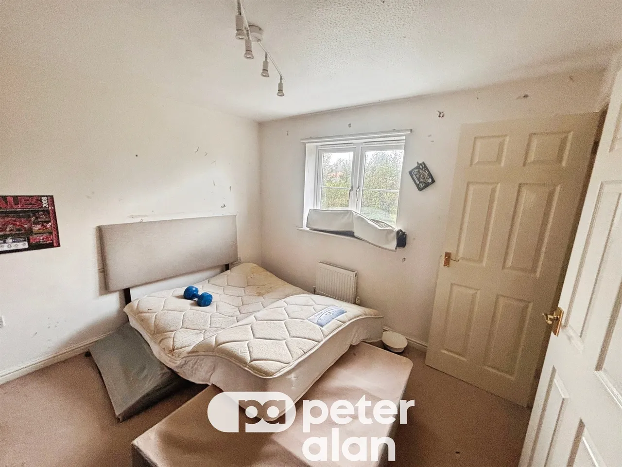 Wild Field Bridgend, CF31, photo 17