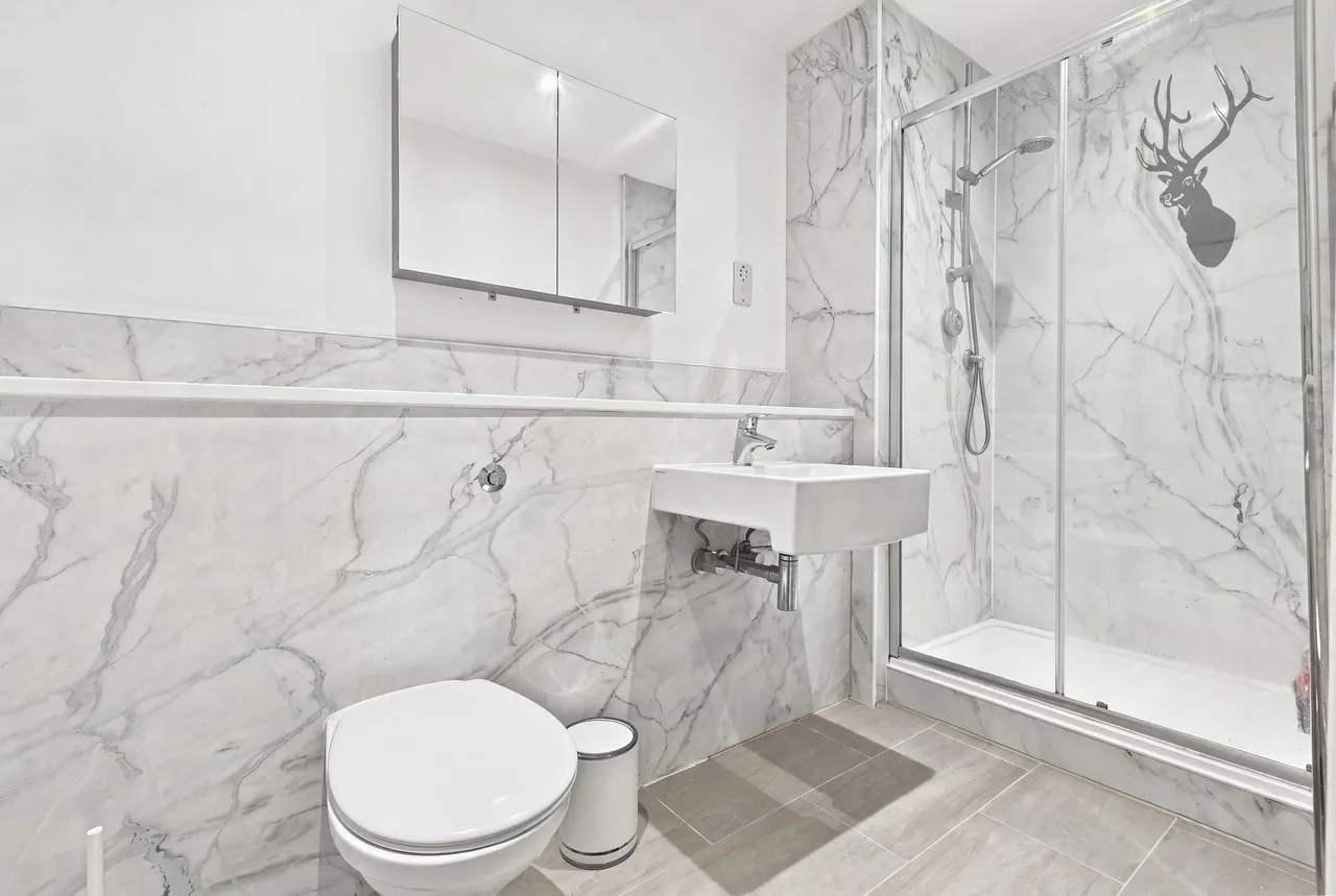 Epping New Road, Buckhurst Hill, IG9, photo 12