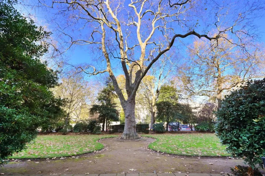 Eaton Square, Belgravia, SW1W, photo 10
