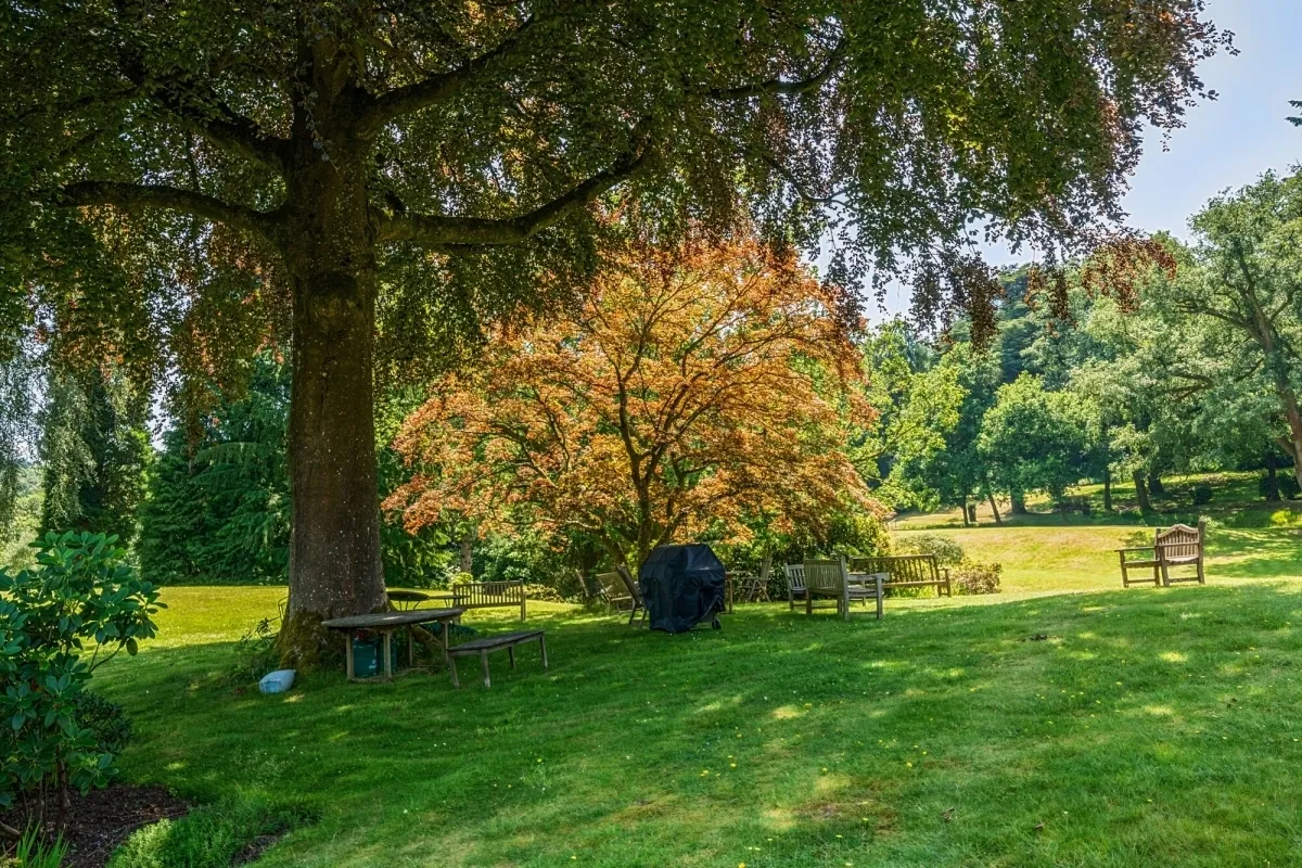 Lythe Hill Park Haslemere, GU27, photo 12