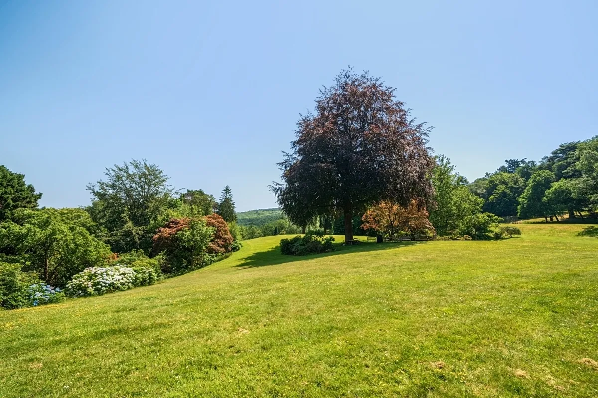 Lythe Hill Park Haslemere, GU27, photo 13